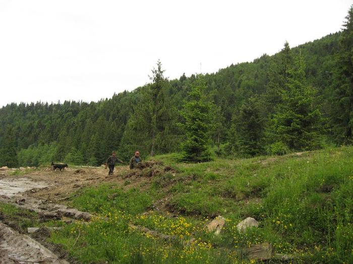 IMG_4602 - 01 - In Vrancea primavara partea a II-a