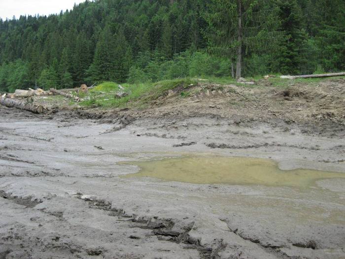 IMG_4603 - 01 - In Vrancea primavara partea a II-a