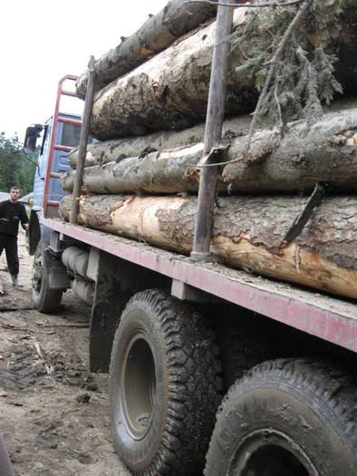 IMG_4605 - 01 - In Vrancea primavara partea a II-a