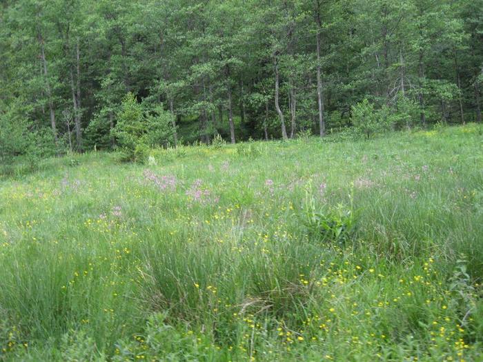 IMG_4612 - 01 - In Vrancea primavara partea a II-a