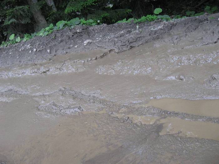 IMG_4624 - 01 - In Vrancea primavara partea a II-a