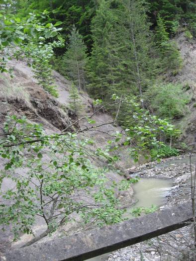 IMG_4627 - 01 - In Vrancea primavara partea a II-a