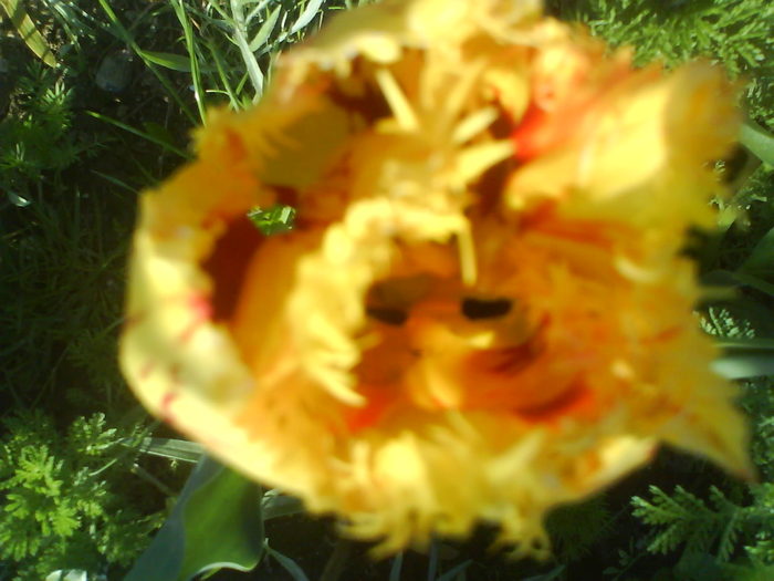 DSC01927