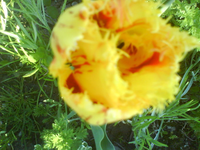 DSC01928