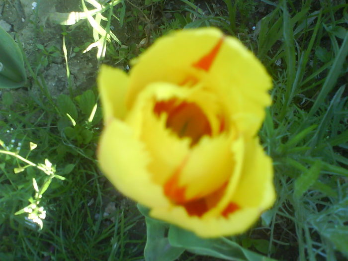 DSC01934