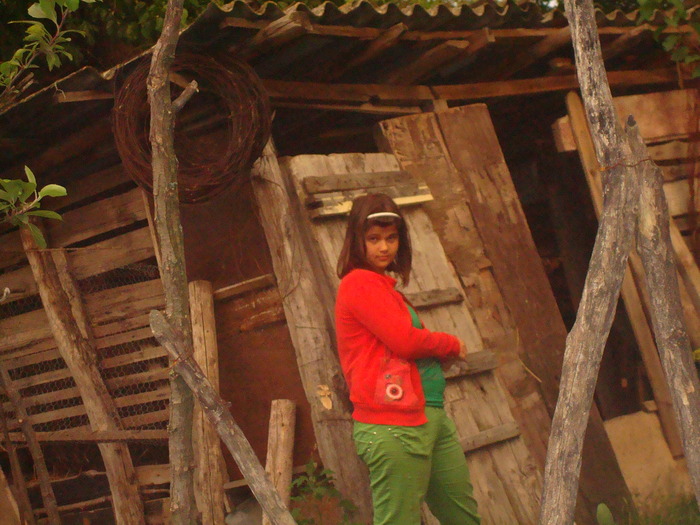 DSC02581 - Poze tsara 2010