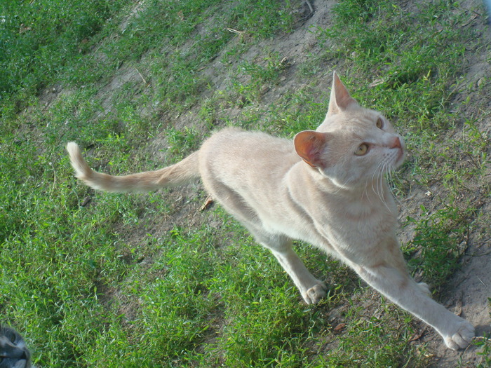 DSC02723 - Poze tsara 2010