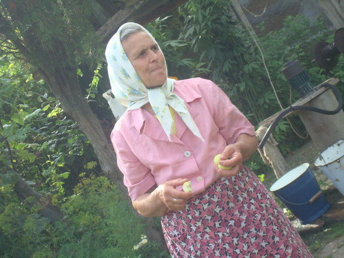 DSC02731 - Poze tsara 2010