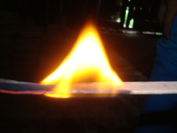 DSC02834 - Poze tsara 2010