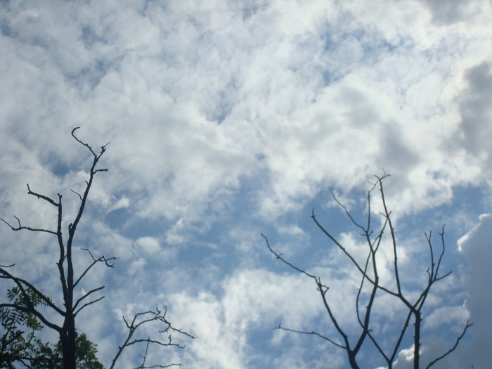 DSC02856 - Poze tsara 2010