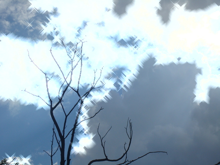DSC02866 - Poze tsara 2010
