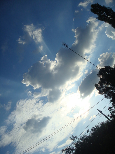 DSC02897 - Poze tsara 2010