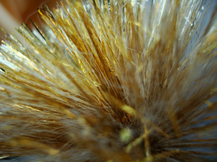 DSC03277 - Poze tsara 2010