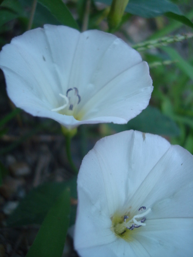 DSC03410