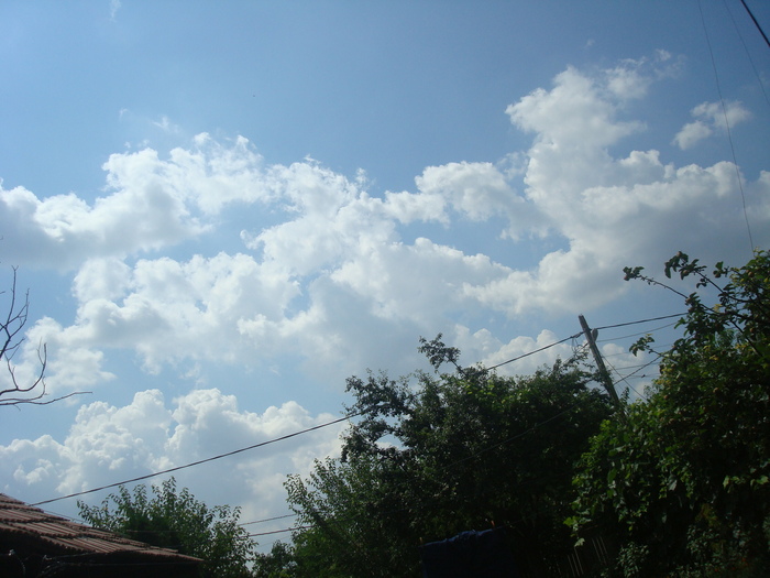 DSC03626
