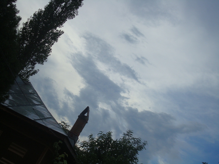 DSC03668