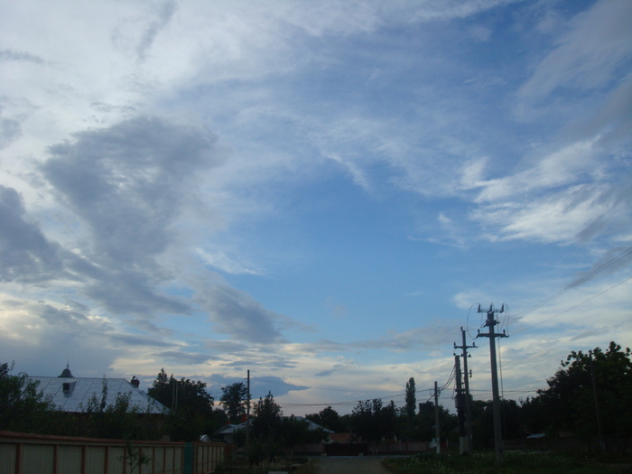 DSC03670 - Poze tsara 2010