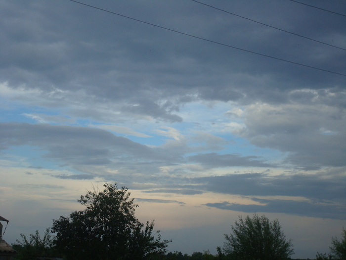 DSC03671 - Poze tsara 2010