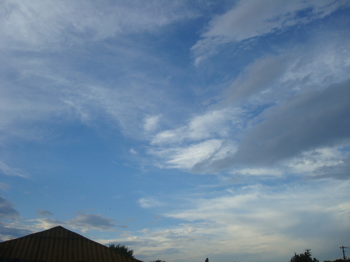 DSC03673 - Poze tsara 2010