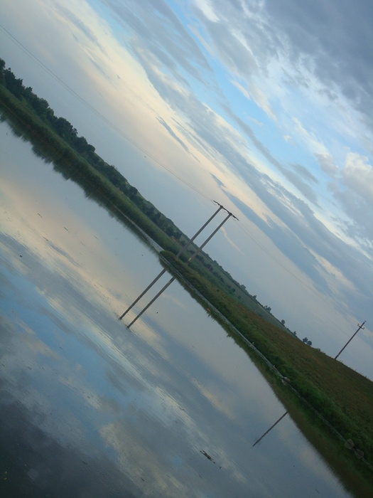 DSC03675 - Poze tsara 2010