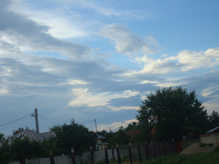 DSC03680
