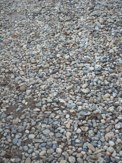 DSC03681