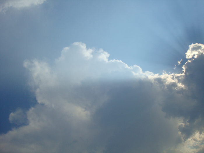 DSC03924 - Poze tsara 2010