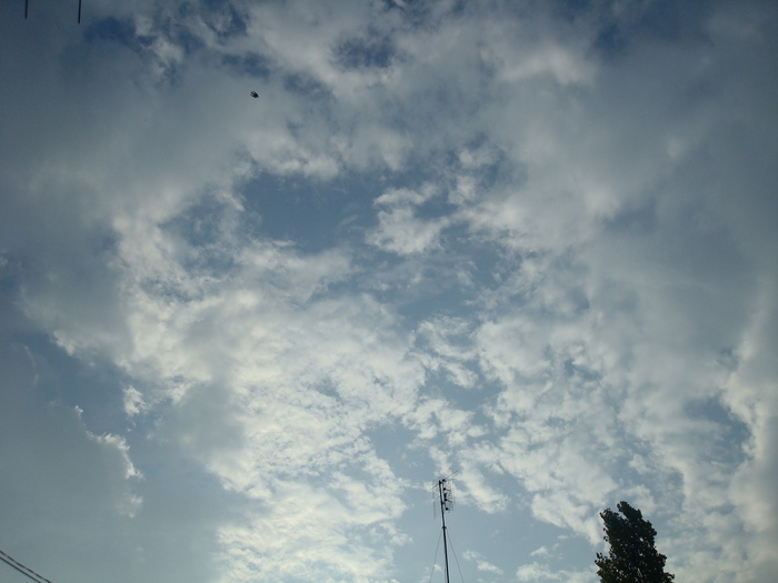 DSC04154 - Poze tsara 2010