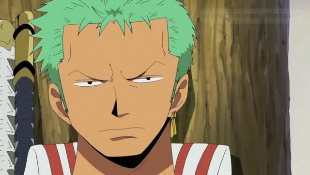 21336312_BIELLJGDG - One Piece ZoRo