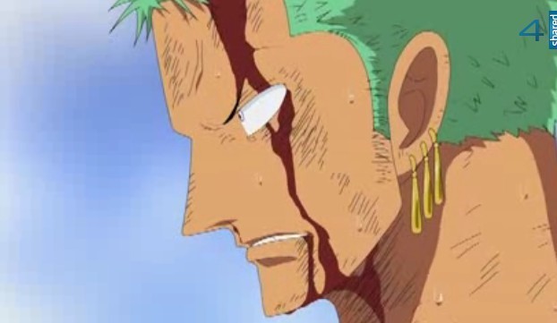 zoro 381