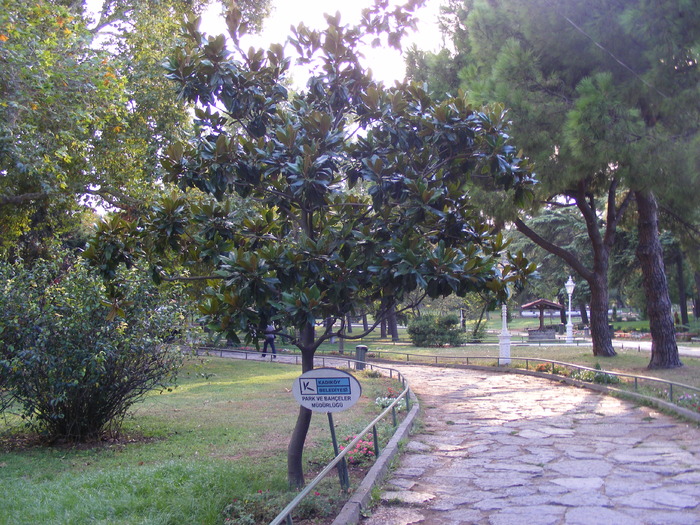 188 - Luna de miere - Turcia - Istanbul