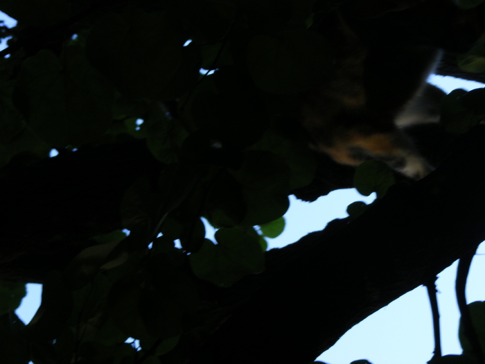 189 - Luna de miere - Turcia - Istanbul