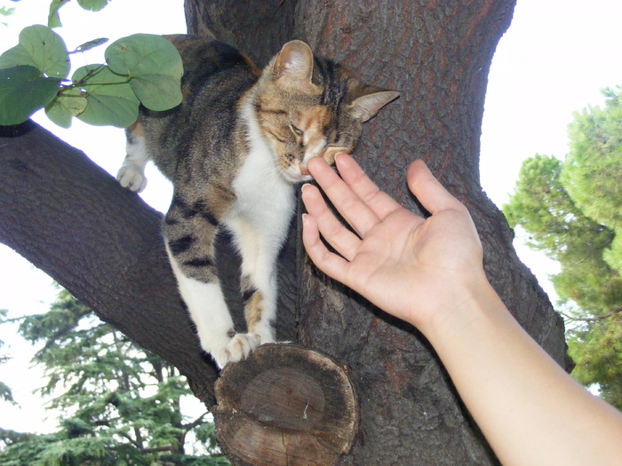 192 - Luna de miere - Turcia - Istanbul