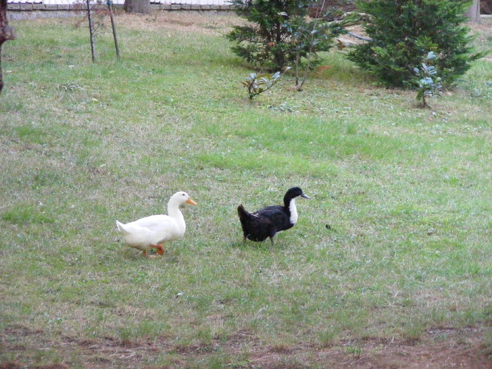 193 - Luna de miere - Turcia - Istanbul