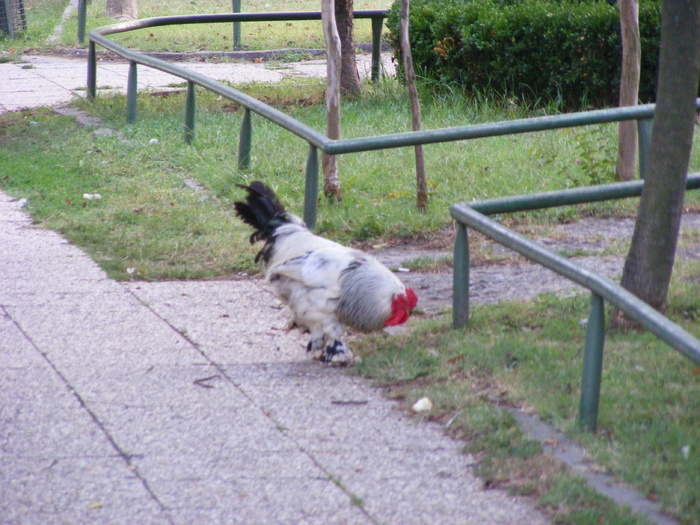 196 - Luna de miere - Turcia - Istanbul
