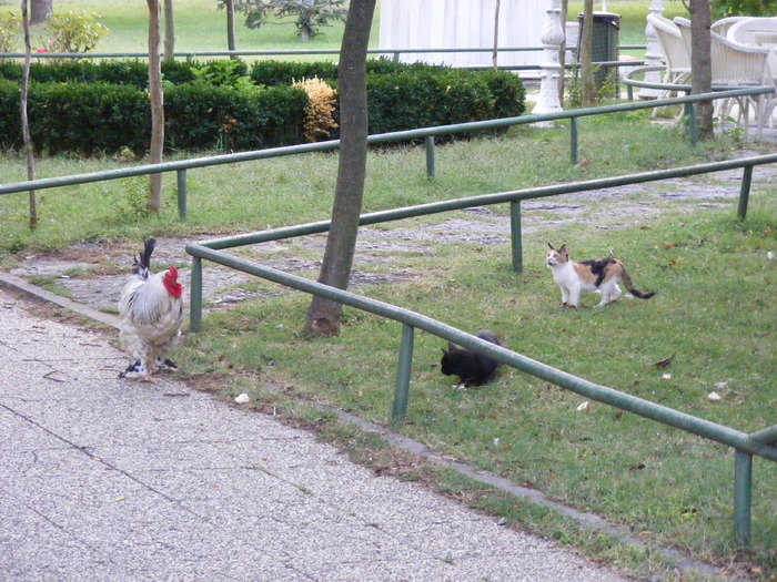 197 - Luna de miere - Turcia - Istanbul