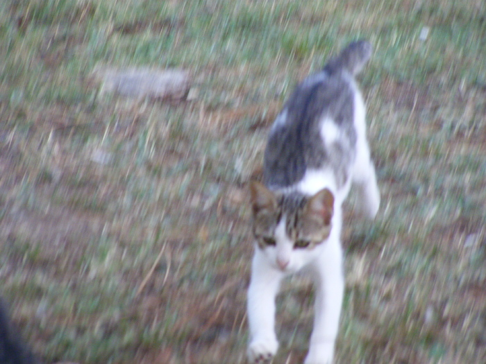 208 - Luna de miere - Turcia - Istanbul