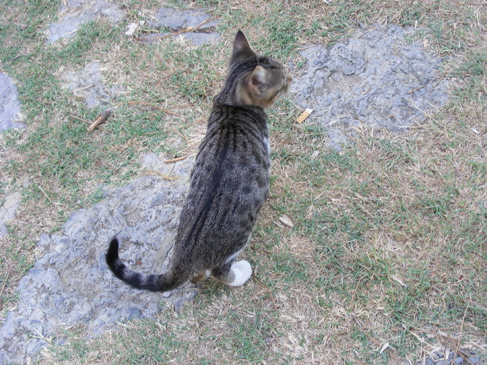 209 - Luna de miere - Turcia - Istanbul