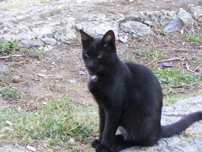 215 - Luna de miere - Turcia - Istanbul