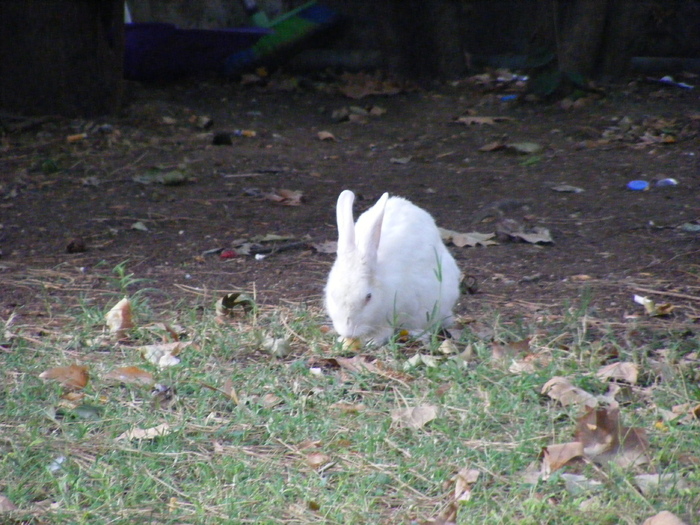 217 - Luna de miere - Turcia - Istanbul