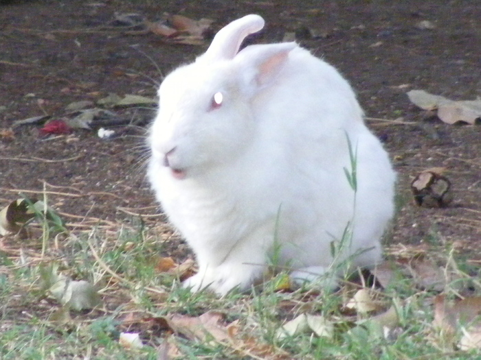 219 - Luna de miere - Turcia - Istanbul