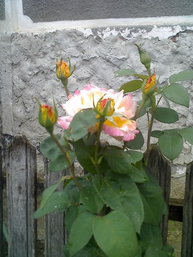 18-06-10_1246