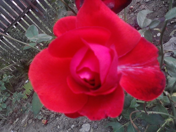 P150910_13.39_[02]