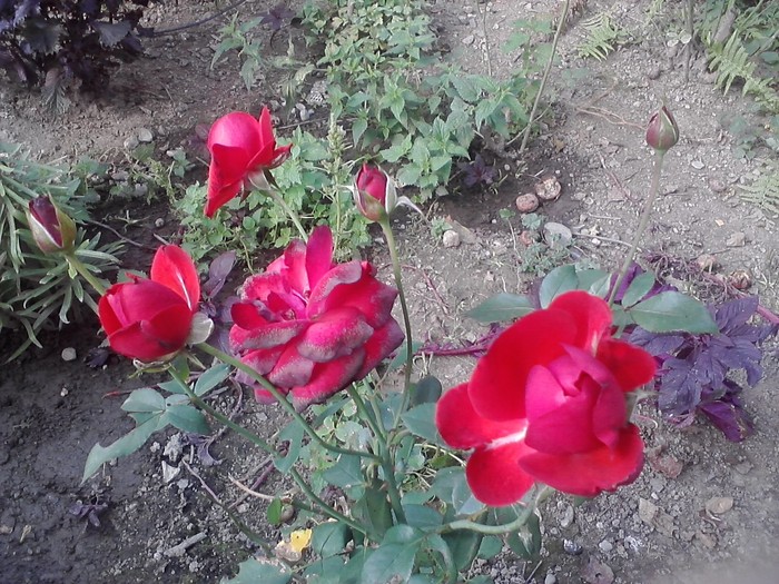 P150910_13.40_[02]