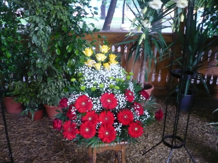 Sarbatoara Castanelor 2010 011