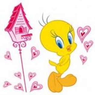 tweety - tweety