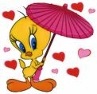 tweety cu umbrela