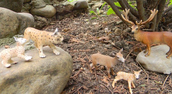 kings of carpathians mountains - Safari