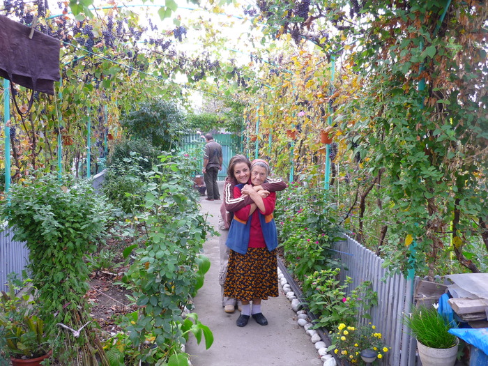 Petuniile bunicii in 20 sept 2010, de ziua ei, la implinirea celor 81 de ani