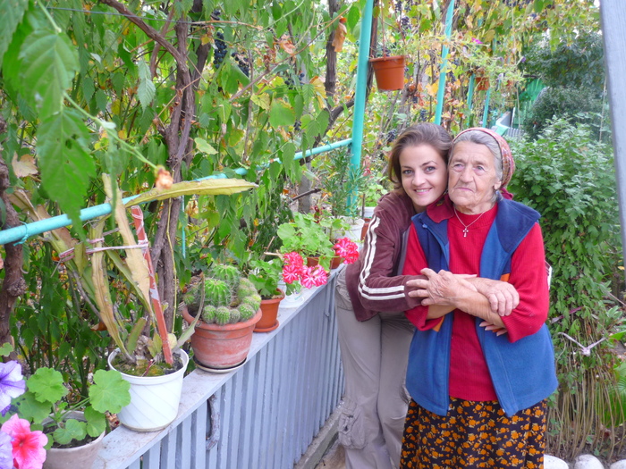 Petuniile bunicii in 20 sept 2010, de ziua ei, la implinirea celor 81 de ani